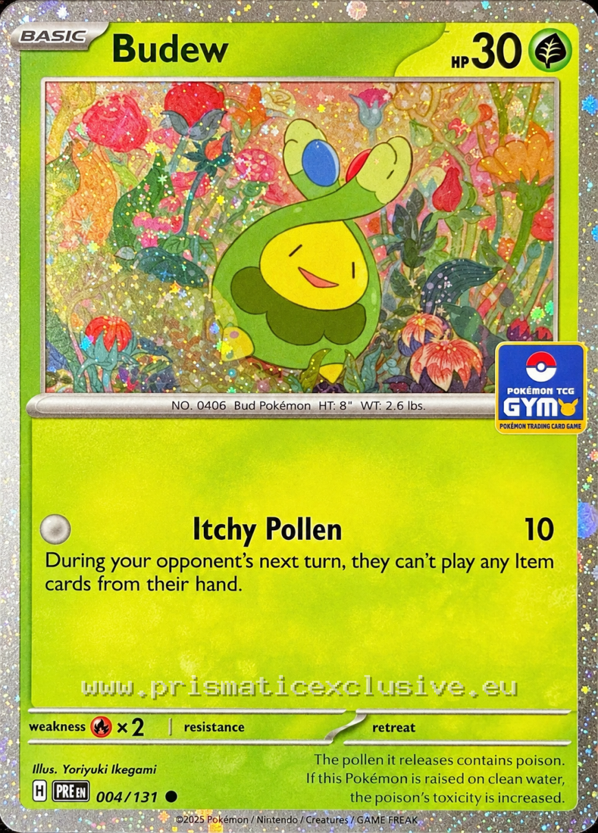 budew-gym