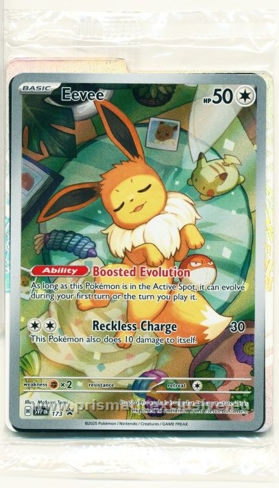 SVP#173 Eevee